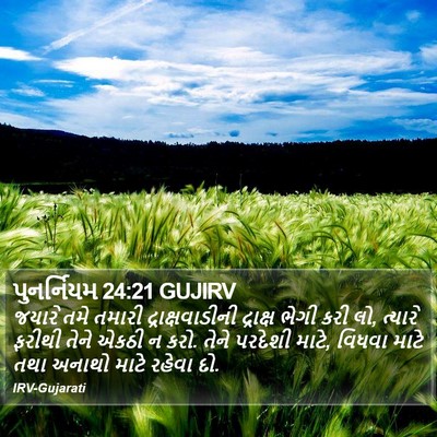 પુનર્નિયમ 24:21 GUJIRV Bible Verse Image