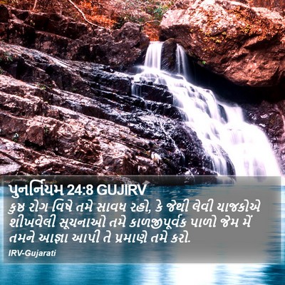 પુનર્નિયમ 24:8 GUJIRV Bible Verse Image