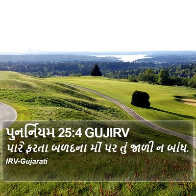 પુનર્નિયમ 25:4 GUJIRV Bible Verse Image
