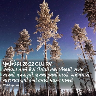 પુનર્નિયમ 28:22 GUJIRV Bible Verse Image