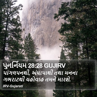 પુનર્નિયમ 28:28 GUJIRV Bible Verse Image