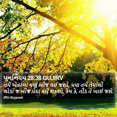 પુનર્નિયમ 28:38 GUJIRV Bible Verse Image