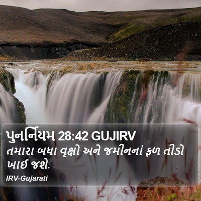 પુનર્નિયમ 28:42 GUJIRV Bible Verse Image