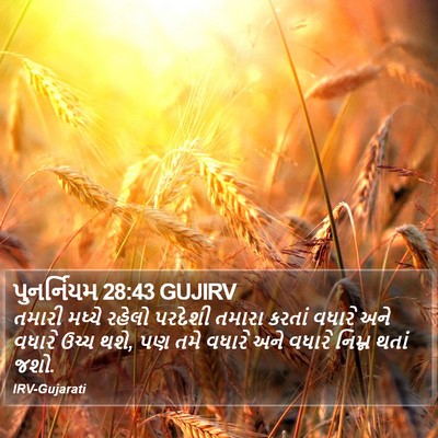 પુનર્નિયમ 28:43 GUJIRV Bible Verse Image