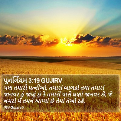 પુનર્નિયમ 3:19 GUJIRV Bible Verse Image