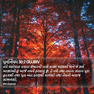 પુનર્નિયમ 30:2 GUJIRV Bible Verse Image