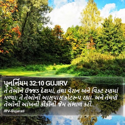 પુનર્નિયમ 32:10 GUJIRV Bible Verse Image