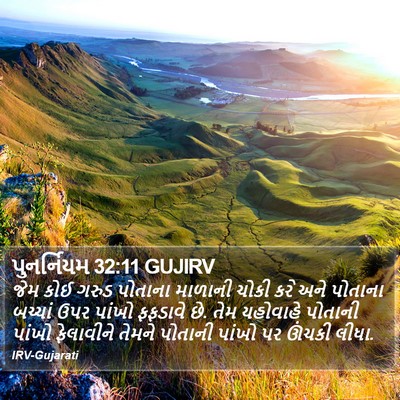પુનર્નિયમ 32:11 GUJIRV Bible Verse Image