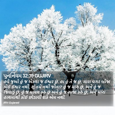 પુનર્નિયમ 32:39 GUJIRV Bible Verse Image