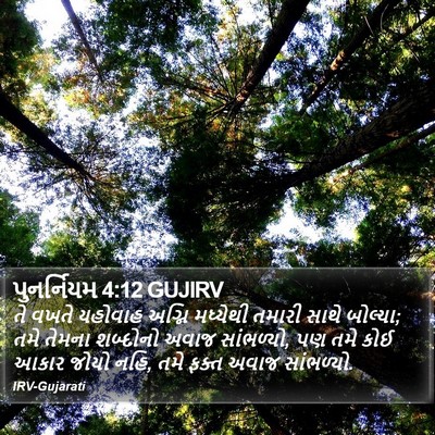 પુનર્નિયમ 4:12 GUJIRV Bible Verse Image