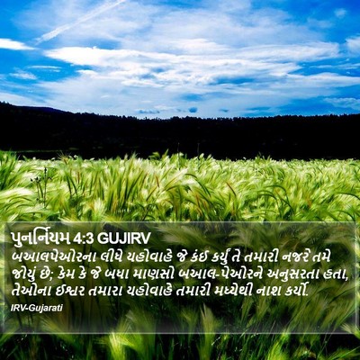 પુનર્નિયમ 4:3 GUJIRV Bible Verse Image