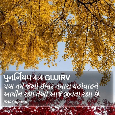 પુનર્નિયમ 4:4 GUJIRV Bible Verse Image