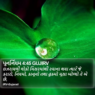 પુનર્નિયમ 4:45 GUJIRV Bible Verse Image