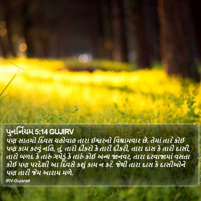 પુનર્નિયમ 5:14 GUJIRV Bible Verse Image