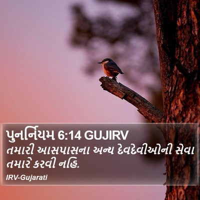 પુનર્નિયમ 6:14 GUJIRV Bible Verse Image