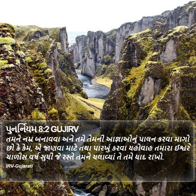 પુનર્નિયમ 8:2 GUJIRV Bible Verse Image