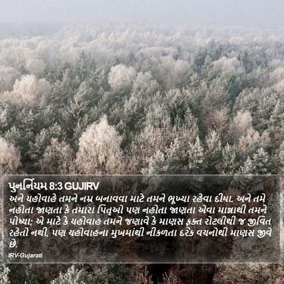 પુનર્નિયમ 8:3 GUJIRV Bible Verse Image