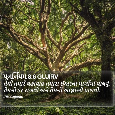 પુનર્નિયમ 8:6 GUJIRV Bible Verse Image