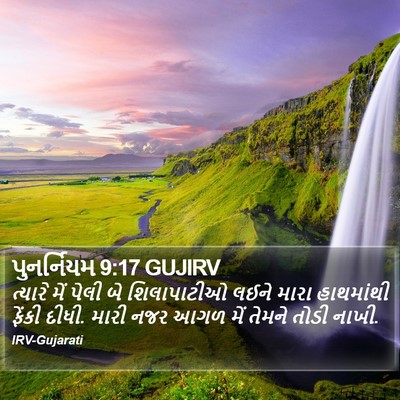 પુનર્નિયમ 9:17 GUJIRV Bible Verse Image