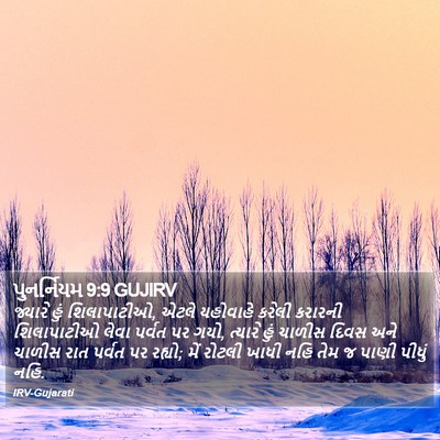 પુનર્નિયમ 9:9 GUJIRV Bible Verse Image