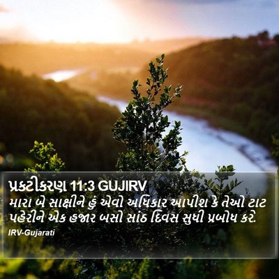 પ્રકટીકરણ 11:3 GUJIRV Bible Verse Image