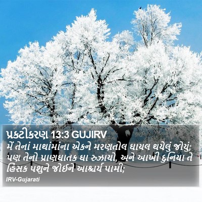 પ્રકટીકરણ 13:3 GUJIRV Bible Verse Image