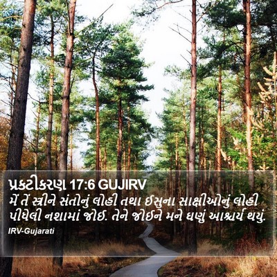 પ્રકટીકરણ 17:6 GUJIRV Bible Verse Image