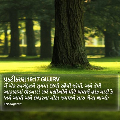 પ્રકટીકરણ 19:17 GUJIRV Bible Verse Image