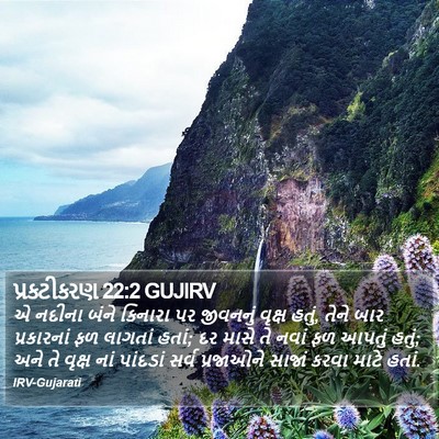 પ્રકટીકરણ 22:2 GUJIRV Bible Verse Image