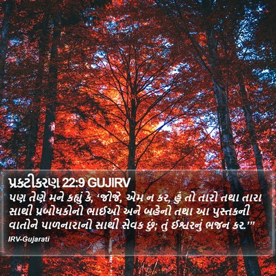 પ્રકટીકરણ 22:9 GUJIRV Bible Verse Image
