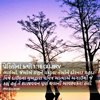 પ્રેરિતોનાં ક્રત્યો 1:16 GUJIRV Bible Verse Image
