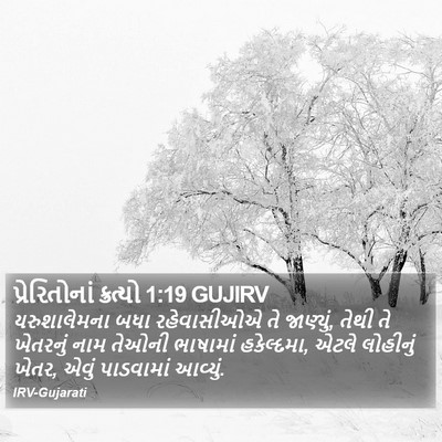 પ્રેરિતોનાં ક્રત્યો 1:19 GUJIRV Bible Verse Image