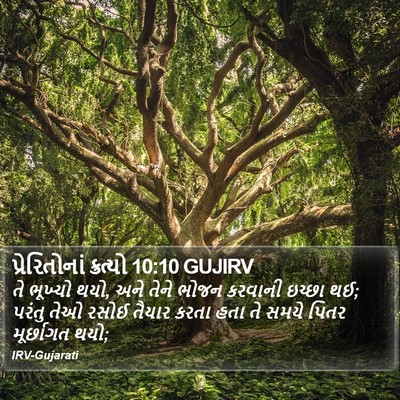 પ્રેરિતોનાં ક્રત્યો 10:10 GUJIRV Bible Verse Image