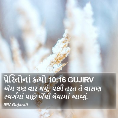 પ્રેરિતોનાં ક્રત્યો 10:16 GUJIRV Bible Verse Image