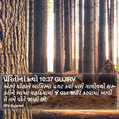 પ્રેરિતોનાં ક્રત્યો 10:37 GUJIRV Bible Verse Image