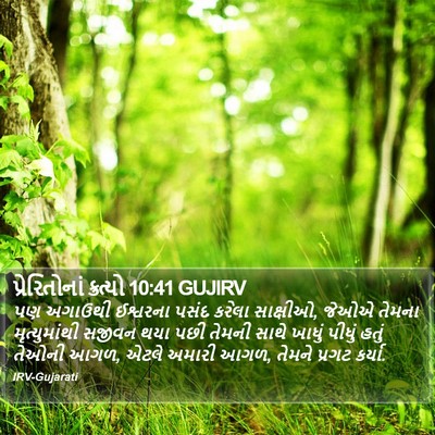 પ્રેરિતોનાં ક્રત્યો 10:41 GUJIRV Bible Verse Image