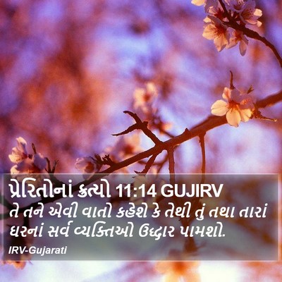 પ્રેરિતોનાં ક્રત્યો 11:14 GUJIRV Bible Verse Image