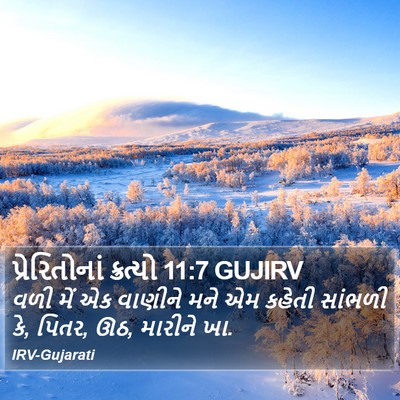 પ્રેરિતોનાં ક્રત્યો 11:7 GUJIRV Bible Verse Image