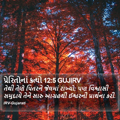 પ્રેરિતોનાં ક્રત્યો 12:5 GUJIRV Bible Verse Image