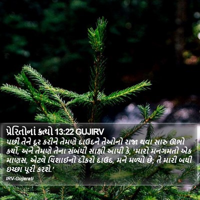 પ્રેરિતોનાં ક્રત્યો 13:22 GUJIRV Bible Verse Image
