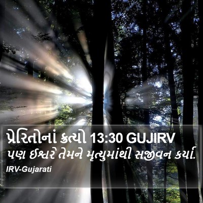 પ્રેરિતોનાં ક્રત્યો 13:30 GUJIRV Bible Verse Image