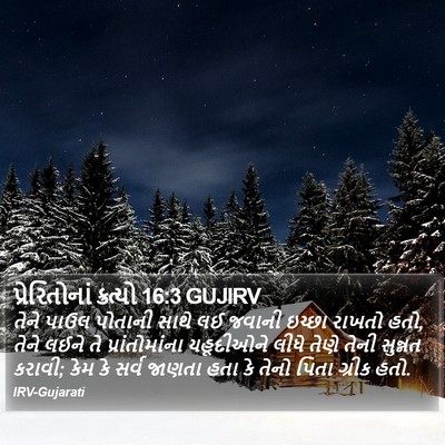 પ્રેરિતોનાં ક્રત્યો 16:3 GUJIRV Bible Verse Image