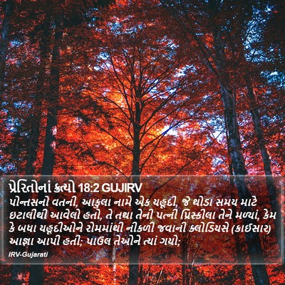 પ્રેરિતોનાં ક્રત્યો 18:2 GUJIRV Bible Verse Image