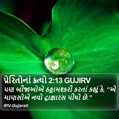 પ્રેરિતોનાં ક્રત્યો 2:13 GUJIRV Bible Verse Image