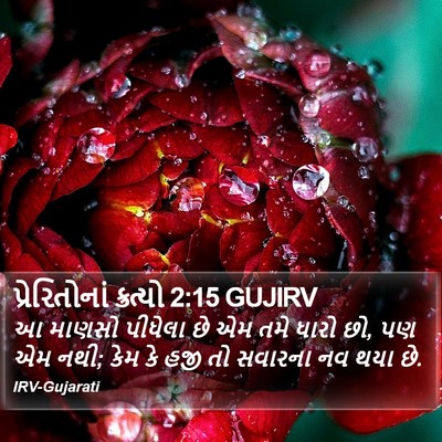 પ્રેરિતોનાં ક્રત્યો 2:15 GUJIRV Bible Verse Image