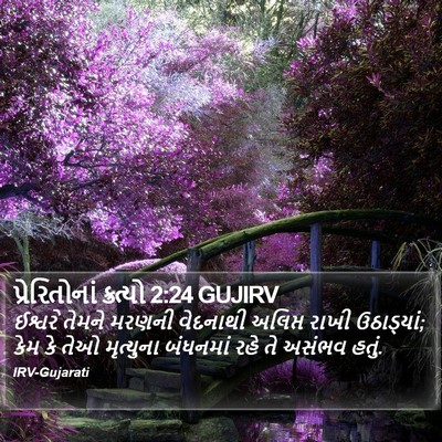 પ્રેરિતોનાં ક્રત્યો 2:24 GUJIRV Bible Verse Image