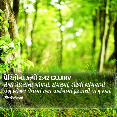 પ્રેરિતોનાં ક્રત્યો 2:42 GUJIRV Bible Verse Image