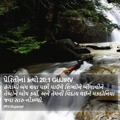 પ્રેરિતોનાં ક્રત્યો 20:1 GUJIRV Bible Verse Image