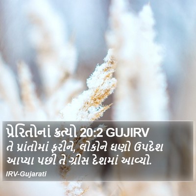 પ્રેરિતોનાં ક્રત્યો 20:2 GUJIRV Bible Verse Image