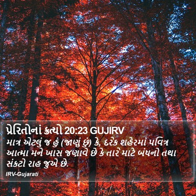 પ્રેરિતોનાં ક્રત્યો 20:23 GUJIRV Bible Verse Image